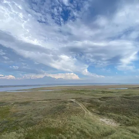 12 Person In Vestervig-by Traum